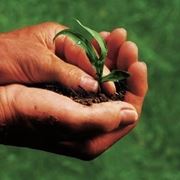 Aziende agricoltura biologica