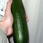 Cetriolo-14