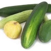 Cetriolo-22