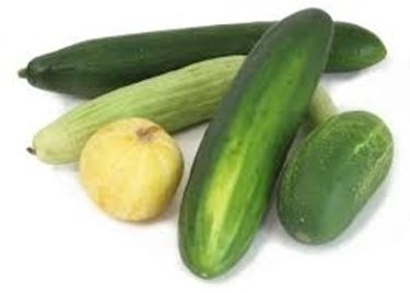 Cetriolo-22