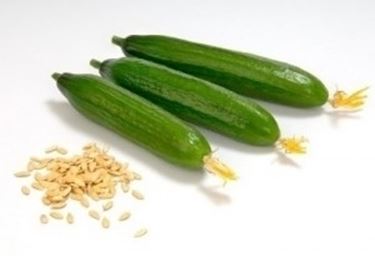 Cetriolo-25