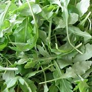 Esposizione e terreno rucola