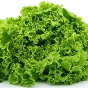 insalata-17