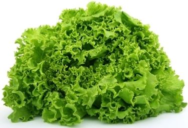 insalata-17