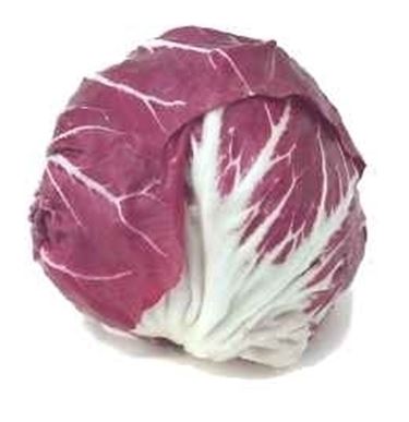Radicchio-25
