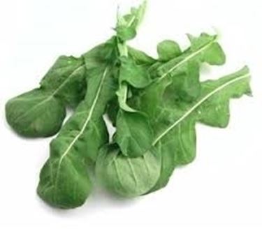 Rucola-11