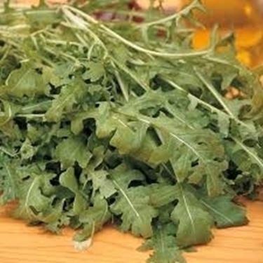 Rucola-14