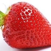 Coltivazione fragola