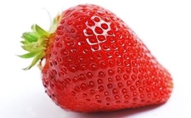 Coltivazione fragola