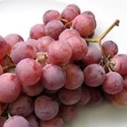 Quanto annaffiare l'uva spina