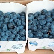 Succo di mirtillo nero