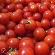 pomodoro malattie