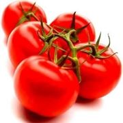 Domanda : farfallina del pomodoro