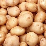 La Patata americana