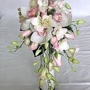 concime orchidee-6