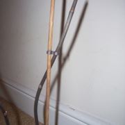 orchidea potatura-1