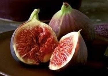 Domanda : fico