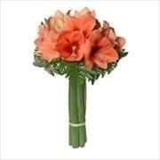 bouquet di amarillis arancio-1