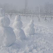 pupazzo di neve-11