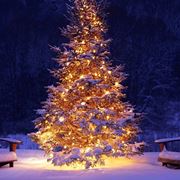 Albero Natale