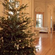 Albero Natale