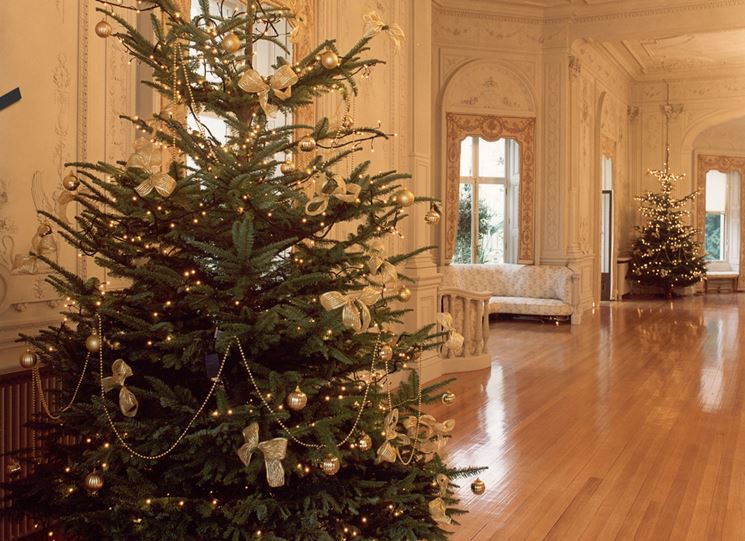 Albero Natale