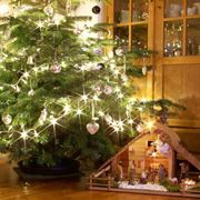 Albero Natale e presepe