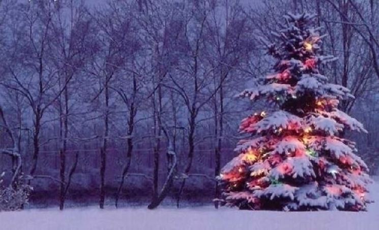 albero di natale finto-3