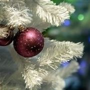 colorare alberi di natale