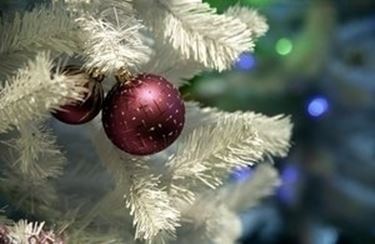 colorare alberi di natale