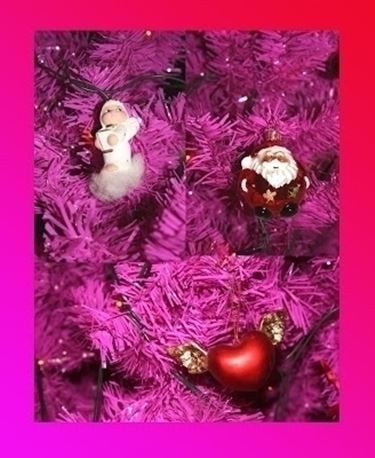 varieta' di alberi di natale-4