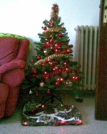 varieta' di alberi di natale