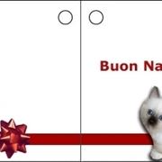 biglietti natale