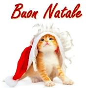 frasi per natale-12
