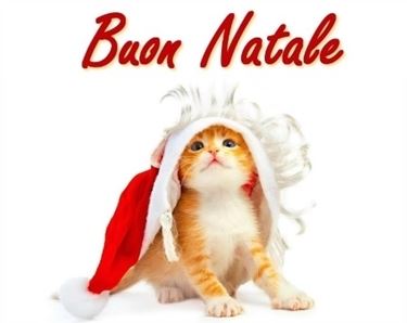 frasi per natale-12