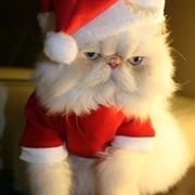 casa di babbo natale-12