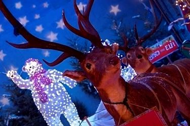 renne babbo natale-1