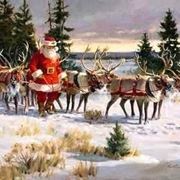 renne babbo natale-2