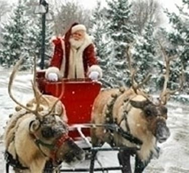 renne babbo natale-4