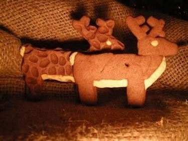 renne babbo natale-9
