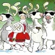 renne di babbo natale