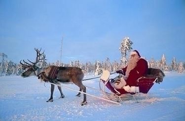 slitta babbo natale-4