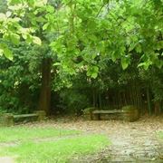 Complementi d'arredo giardini all'inglese-2