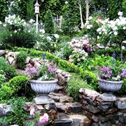 Progettazione giardini all'inglese-5