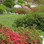 Progettazione giardini all'inglese-9