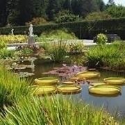 Progettazione giardini all'italiana-5