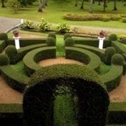 Progettazione giardini all'italiana-7