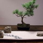 Complementi d'arredo giardini Zen-5