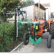 Taglio Siepi-6