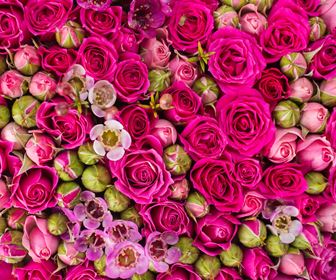 Significato dei fiori
